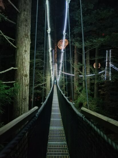 Über (4x) sieben Brücken mußt Du gehn