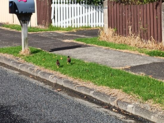 Eiskalt drehen sie uns den Rücken zu