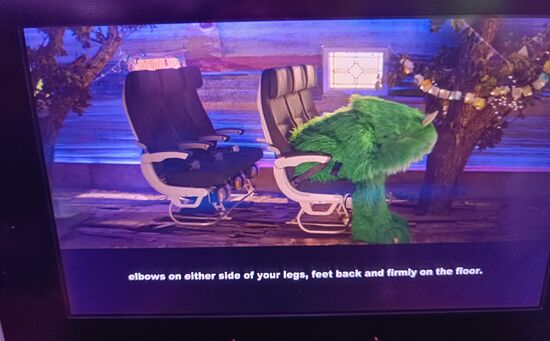 Sicherheitshinweis geht auch witzig,  siehe Air New Zealand