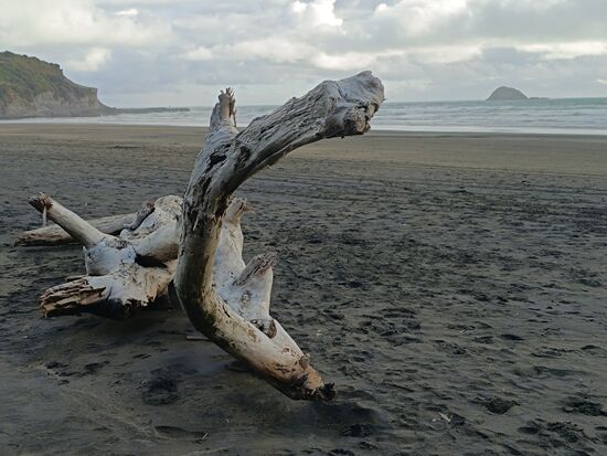 Der schwarze Sand vom Muriwai Beach