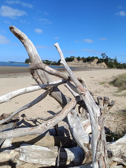 Orewa Beach
