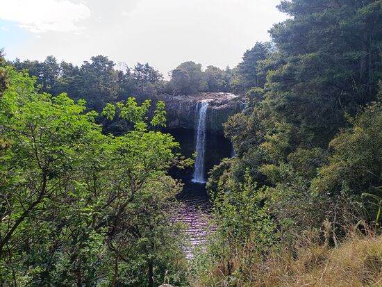 Rainbow Falls in Kerikeri