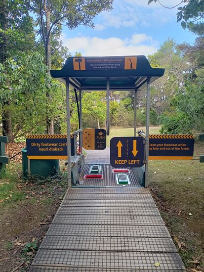 Schuhe reinigen, damit keine Krankheiten verschleppt werden