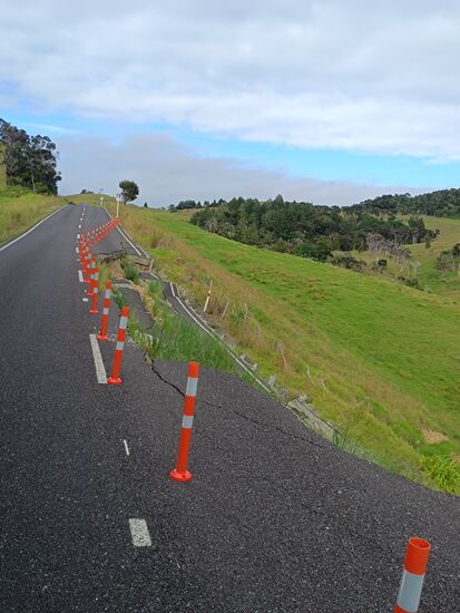 Kein seltener Anblick in NZ