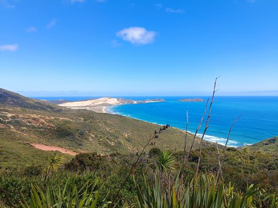 Toller Ausblick am Cape Reinga