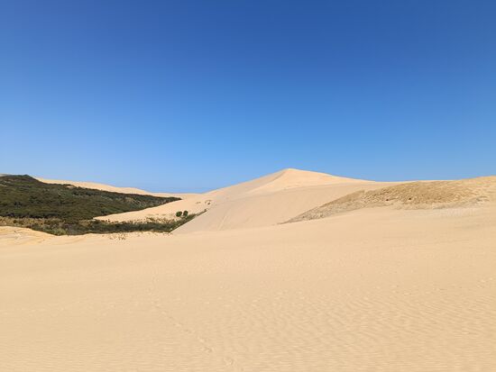 Der weiße Pixel ist der Boarder