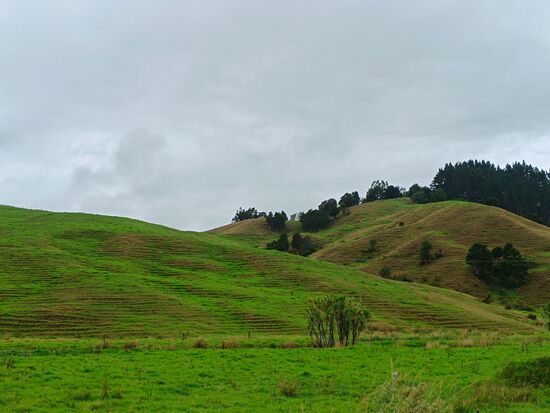 Die Höhenlinien werden am Berg gleich anmodelliert
