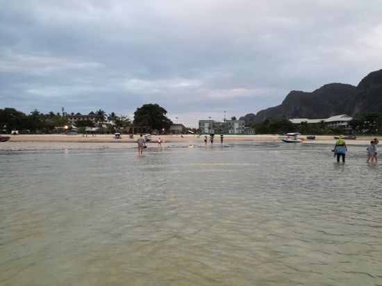 Altes thailändisches Sprichwort
Haste Ebbe, mußte laufen