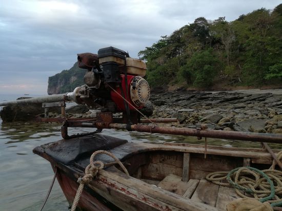 Fundstück des Tages
Der biologisch abbaubare Gaszug