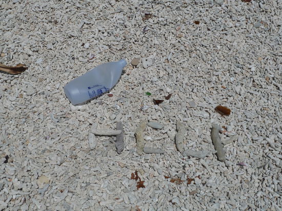 Ein Meer von abgestorbenen Korallen und Müll