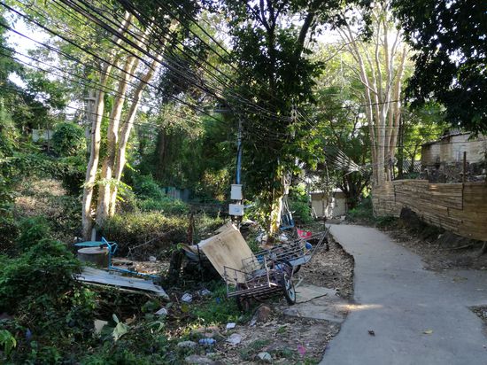 An den Wegen sieht es auch nicht besser aus