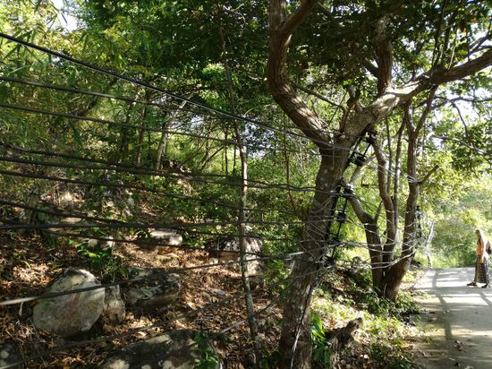 Fundstück des Tages
Multifunktionaler Zaun. Markus, hier brauchst Du mehr als nur ein Sicherheitsdatenblatt .