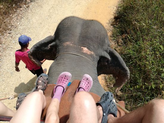 Seekrank in 4m Höhe