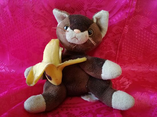 Fundstück des Tages
Paunzi lässt sich das Banänchen schmecken