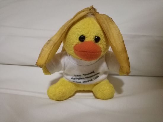 Aber Kevin ist immer für einen Spaß zu haben