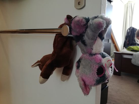 Paunzi und Glupschi hängen ein bisschen ab