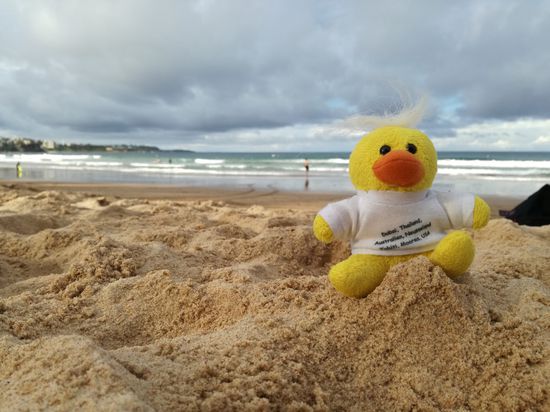 Kevin fühlt sich am Strand entenwohl