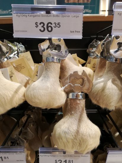 Fundstück des Tages
Was macht man mit Tieren, die man im Überfluss hat.
Man schneidet ihnen die Eier ab und macht Flaschenöffner daraus.