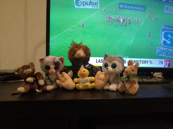 Die Reisegruppe Lenzelmann mit Freunden aus Neuseeland und Australien