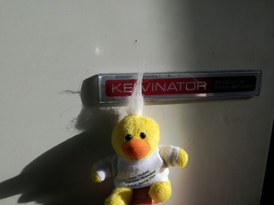 Fundstück des Tages
Der Kevinator