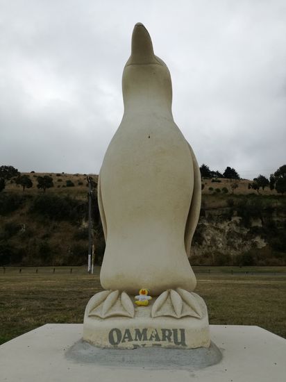 Kevin hat einen neuen Freund gefunden