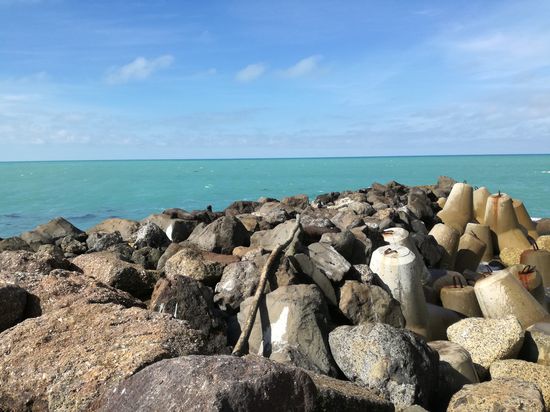 Suchbild. Finde die fünf Seelöwen