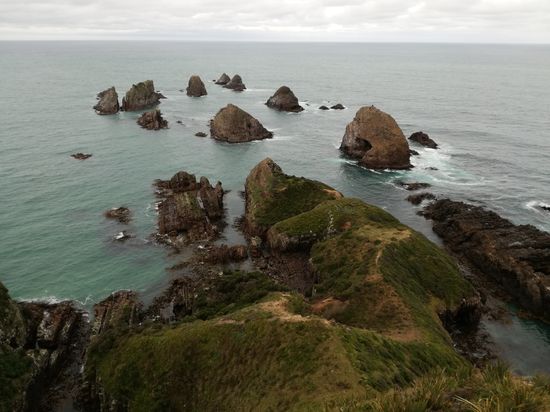 Am Nugget Point