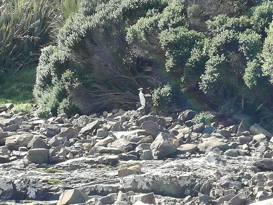 Wer so selten ist, kann auch posen