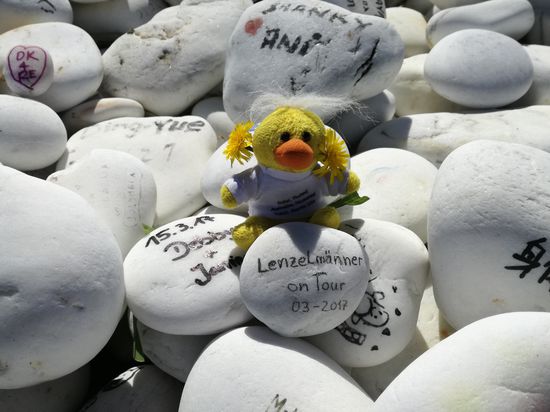 Kevin, der Wächter des Steins