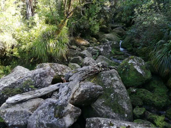 und kleine Wasserfälle.
