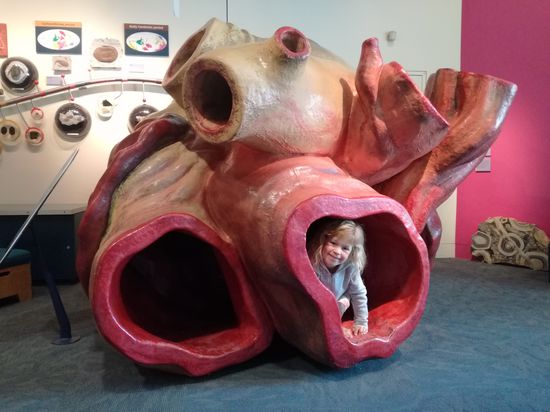 Melina im begehbaren Herz eines Blauwals