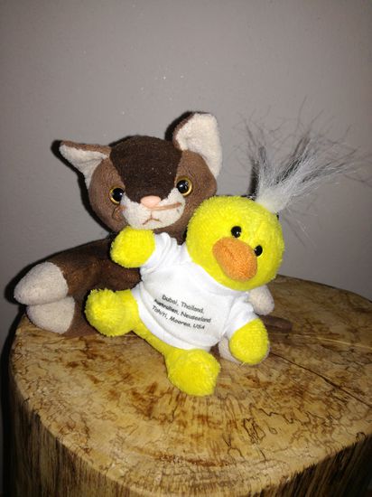 Paunzi schaut noch etwas skeptisch drein.