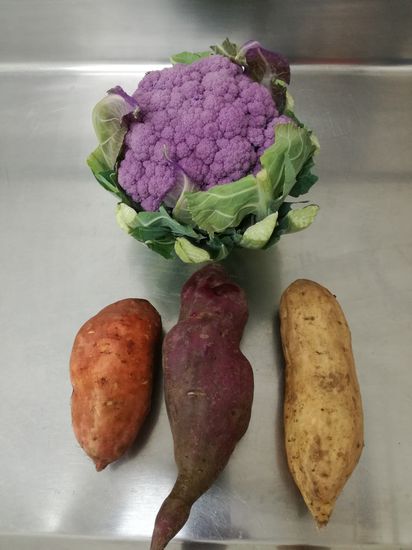 Unser buntes Essen für heute Abend