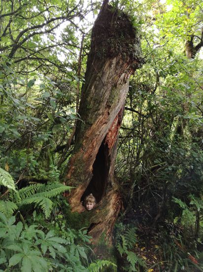 Suchbild für die Omas