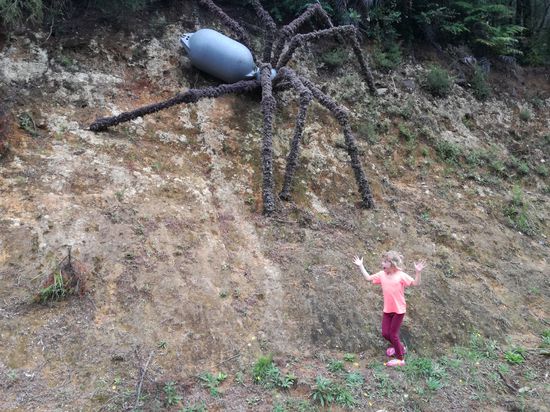 Die Spinne von Waterworks