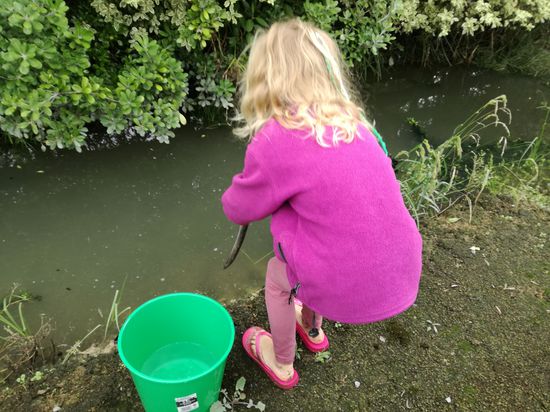 Die Aalrettungsaktion