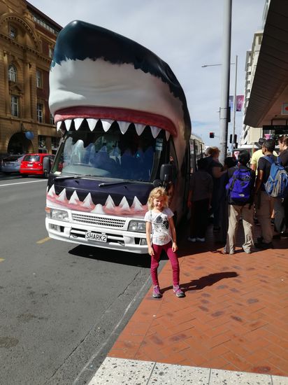 Mit dem Sharkmobil ins Sealife