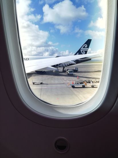 Elektrisch abdunkelbare Fenster, oder wie der Fachbegriff dafür ist