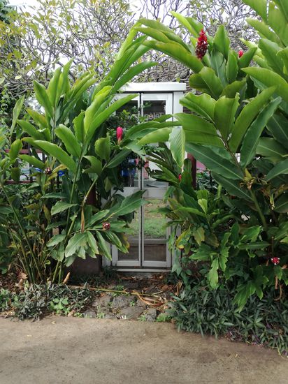 Fundstück des Tages
Die verwunschene Telefonzelle