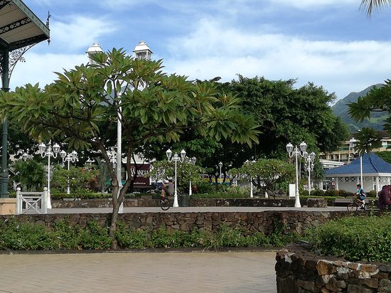 Jugendliche bei ihrer Lieblingsbeschäftigung, wheelies