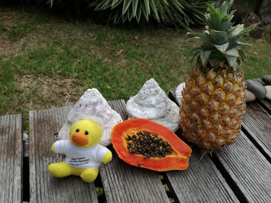 Kevin genießt die Früchte Mooreas