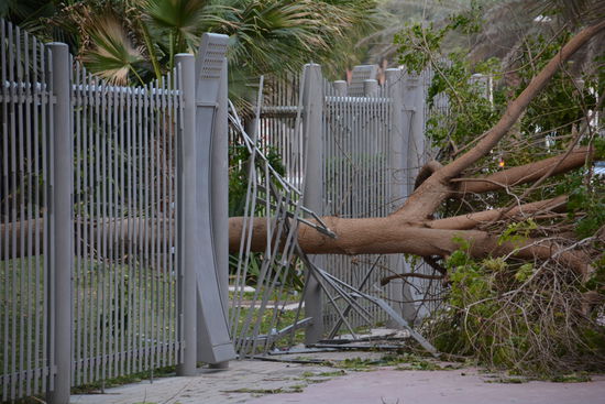 So hat es im Jurassic Park auch angefangen