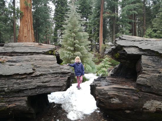 Hier liegt noch Schnee