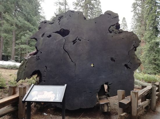 Ein Grundfläche von ca. 3.375 sqk (square kevins)