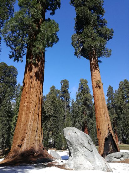 Ich sehe hier einen Hasen