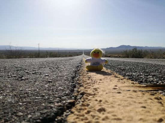 Kevin kennt die Stelle