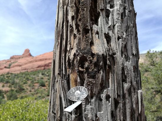 Hier wurde alles geprüft