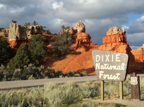 Kurz vor dem Bryce Canyon