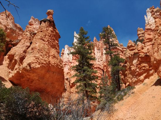 Mitten im Canyon