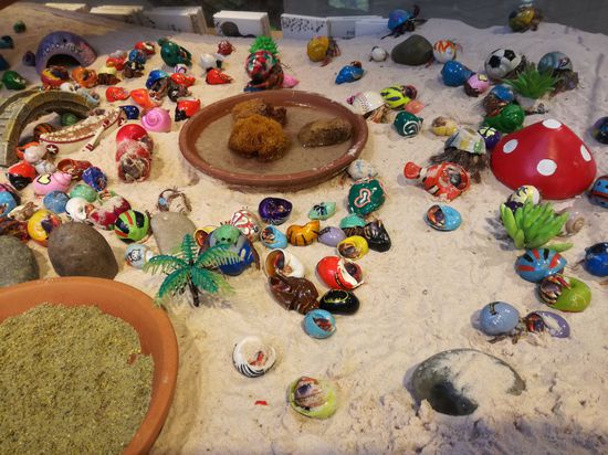 Fundstück des Tages
Die neueste Geschäftsidee aus Amerika